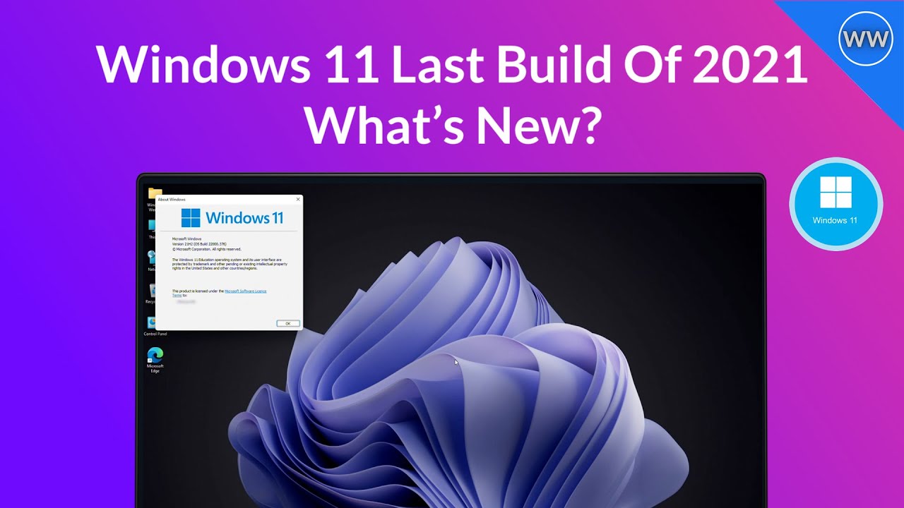 Windows 11 Build 22000.376 Update: SSD Speed Fixes, Improved Performance, Focus Assist, and More